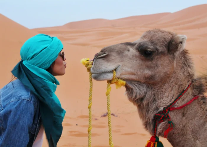 4 Days Marrakech To Fes Desert Tour